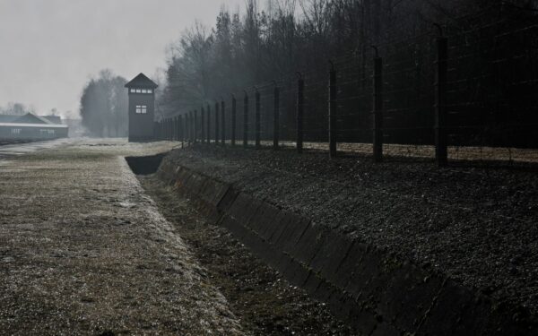 How trench warfare trapped armies and societies in a deadly stalemate