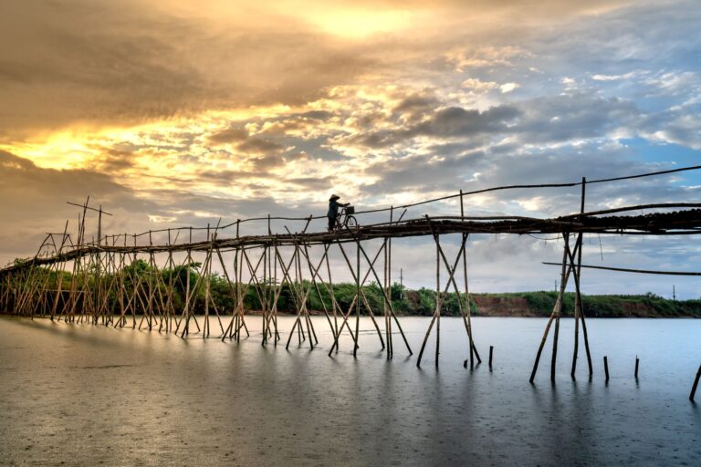 Bamboo river flood