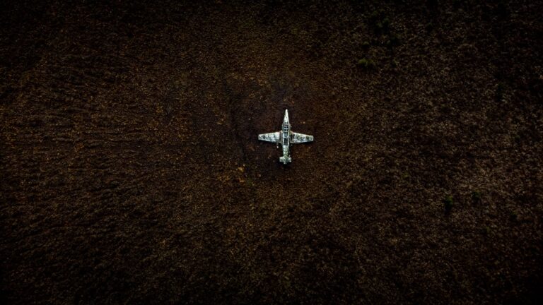 Abandoned airstrip pine