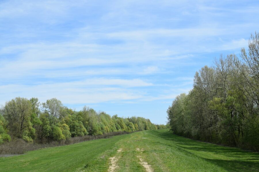 Old railway tracks