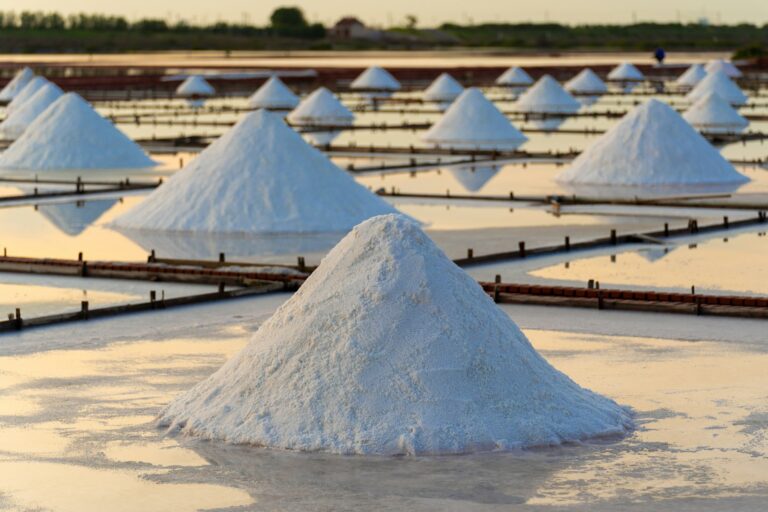 Salt trade caravan